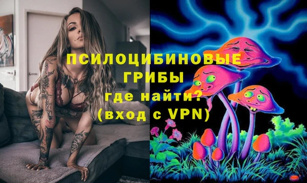 стафф Белоозёрский