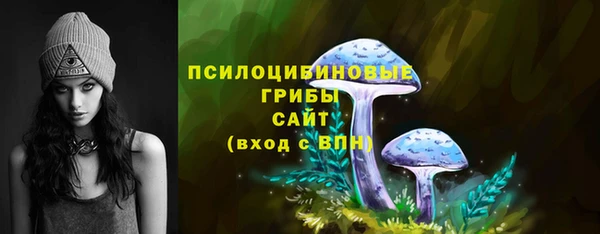 а пвп мука Белокуриха