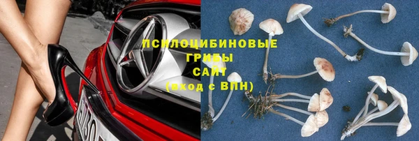 а пвп мука Белокуриха