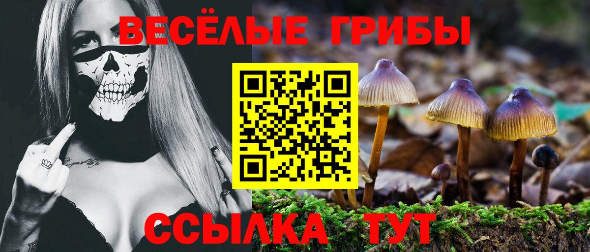 Борисоглебск  Галлюциногенные грибы Psilocybine cubensis  даркнет сайт  Вход с VPN 