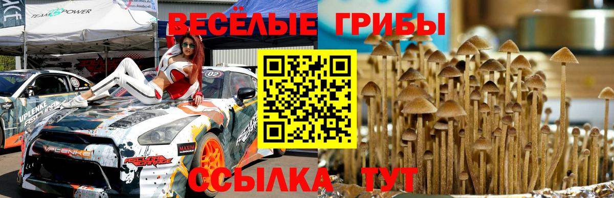 Псилоцибиновые грибы Psilocybine cubensis Борисоглебск